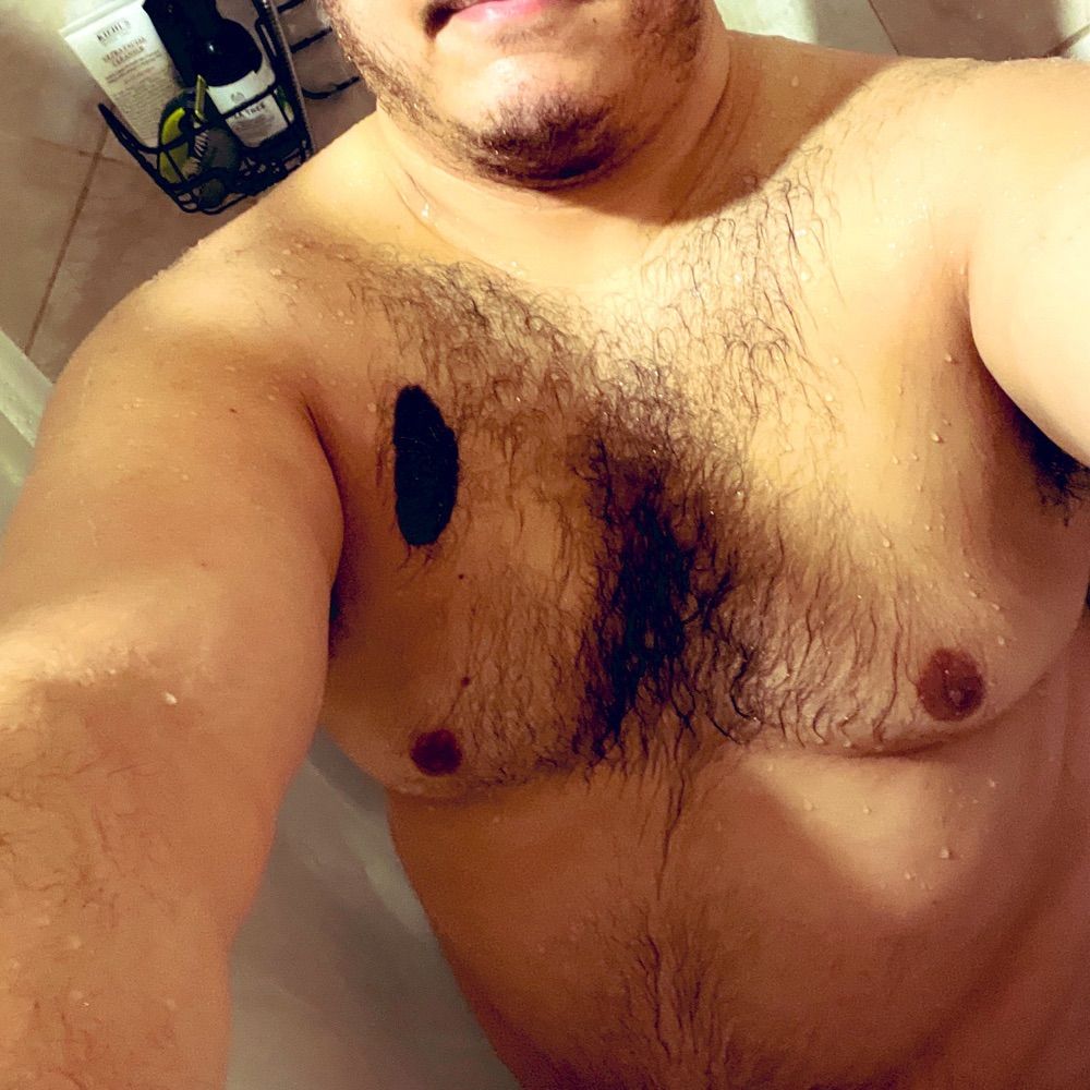 Dill Bear 🏳️‍🌈 🇵🇷
