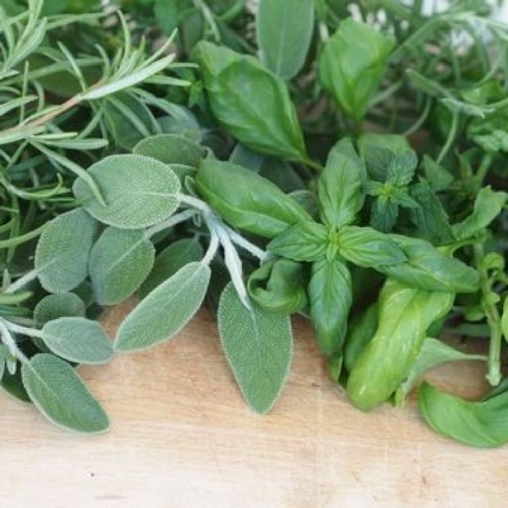 BasilSageGrass