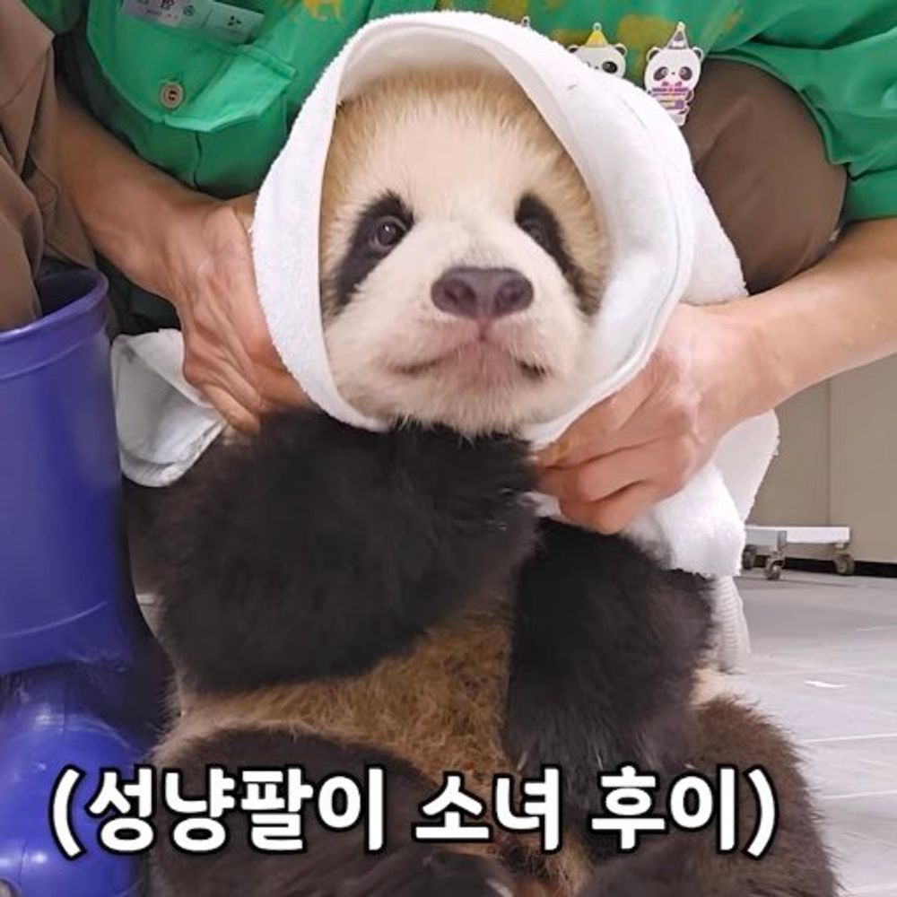 지뉴의아무말계