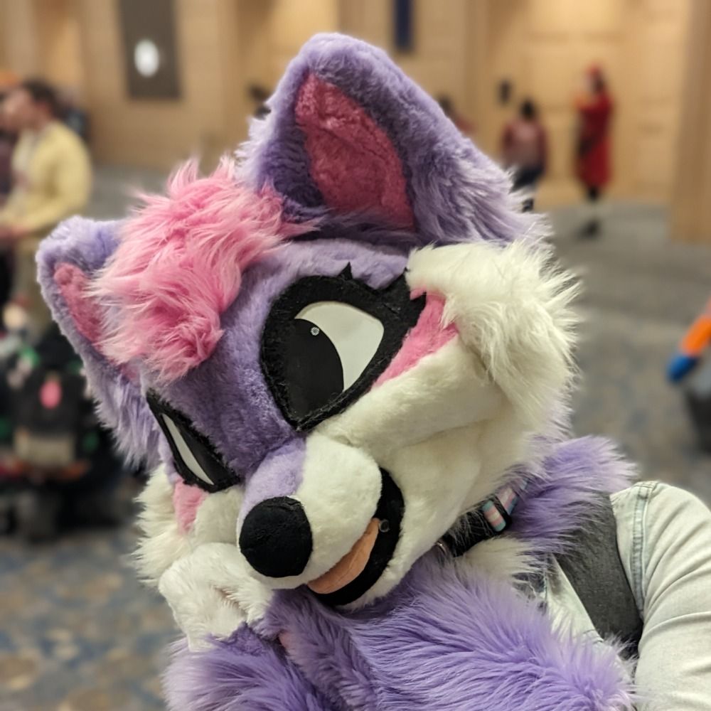 AmethystFoxo