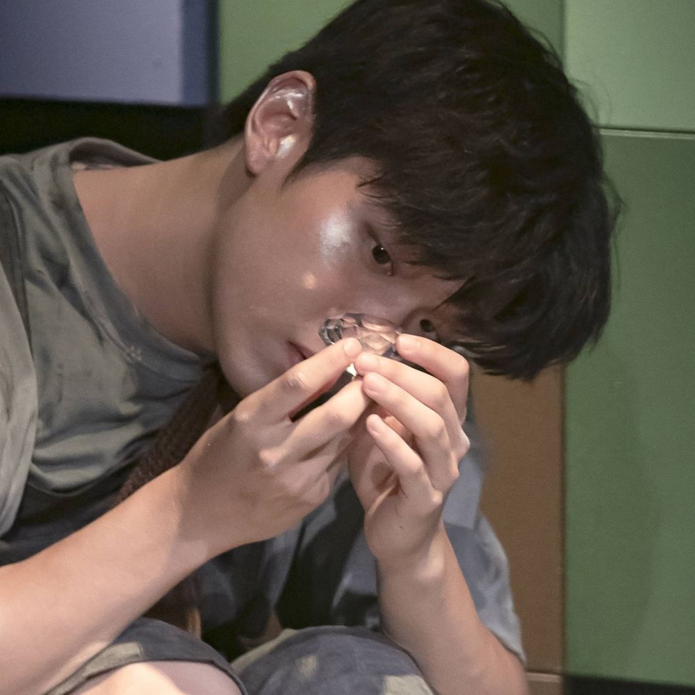 자몽