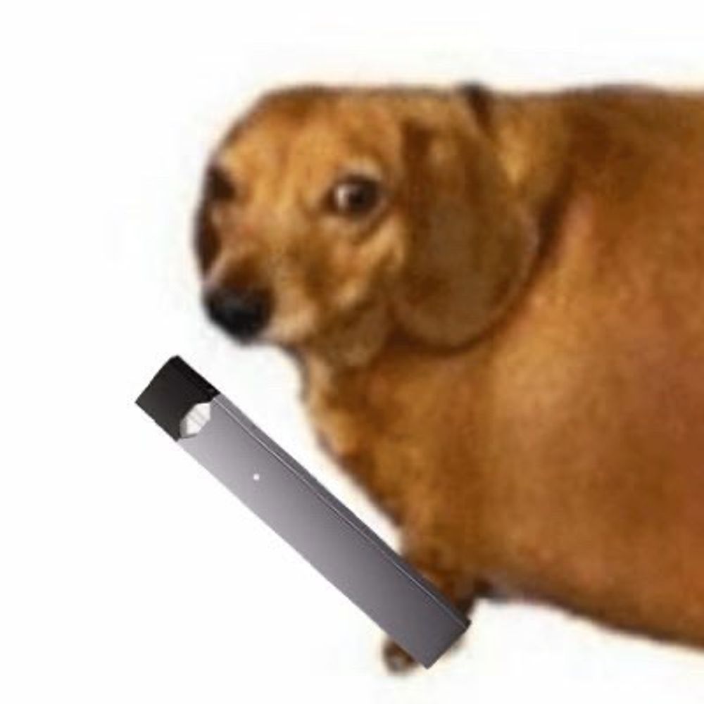 Scoochy