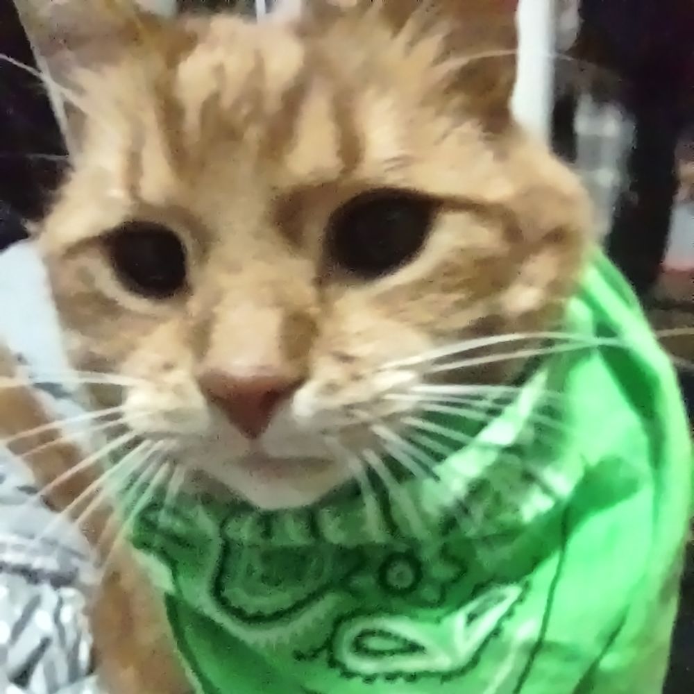 maggiepriceless.bsky.social profile picture