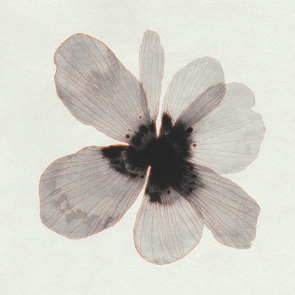 𝓛LUM4 ✦๋
