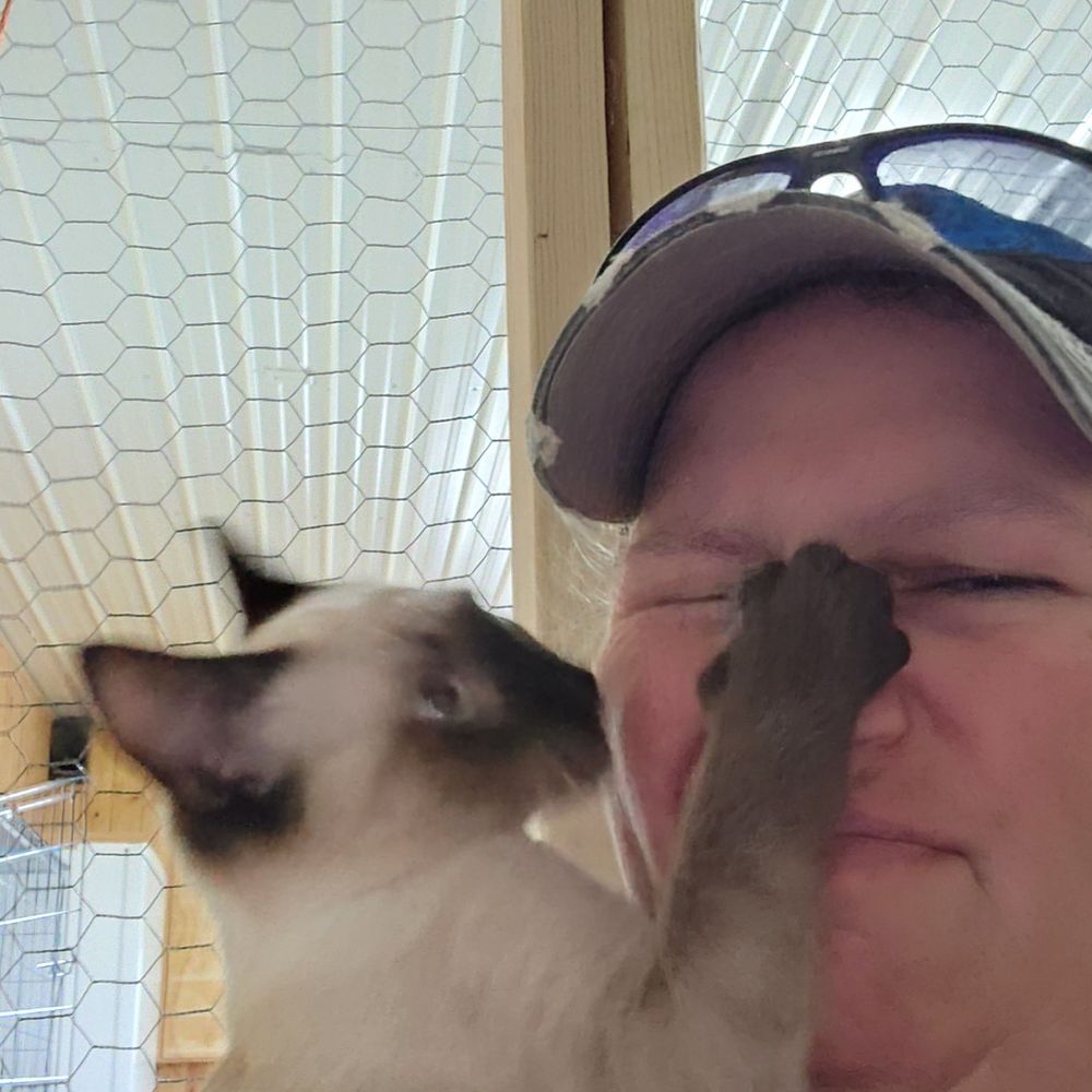 My cat's can opener