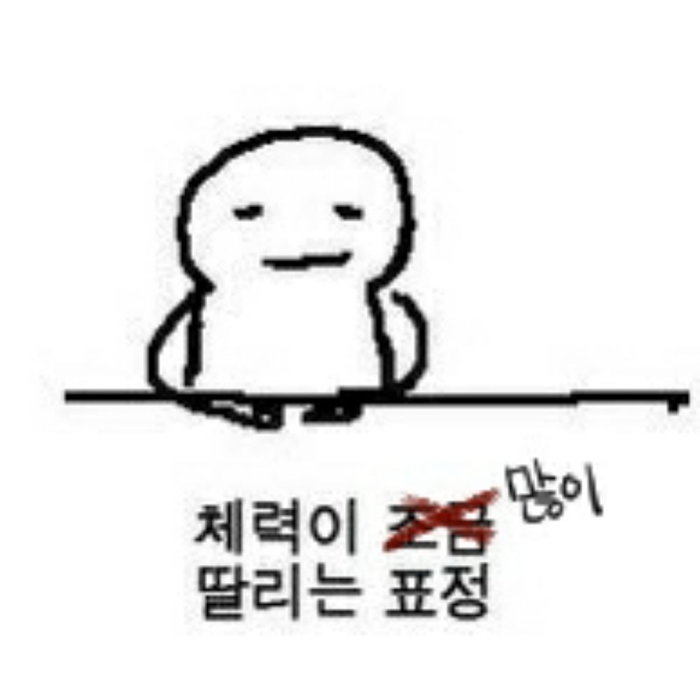 플라운