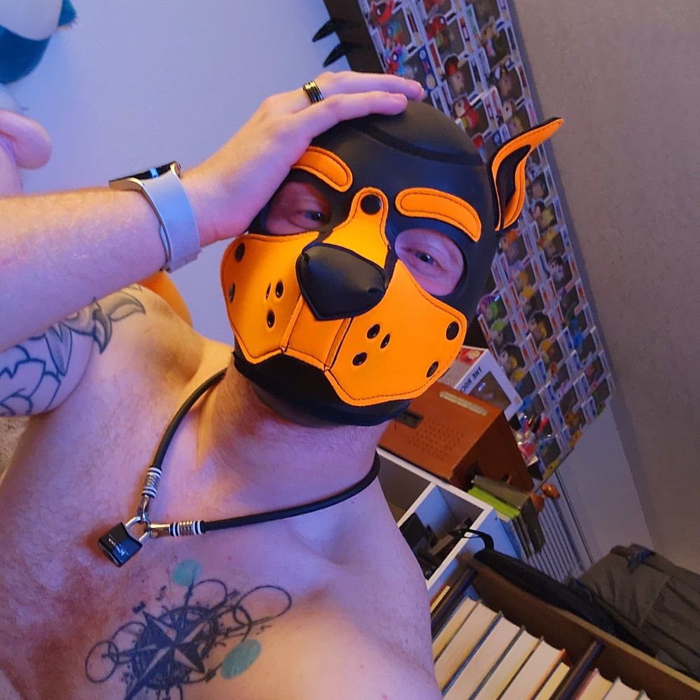 Pup Spitfire