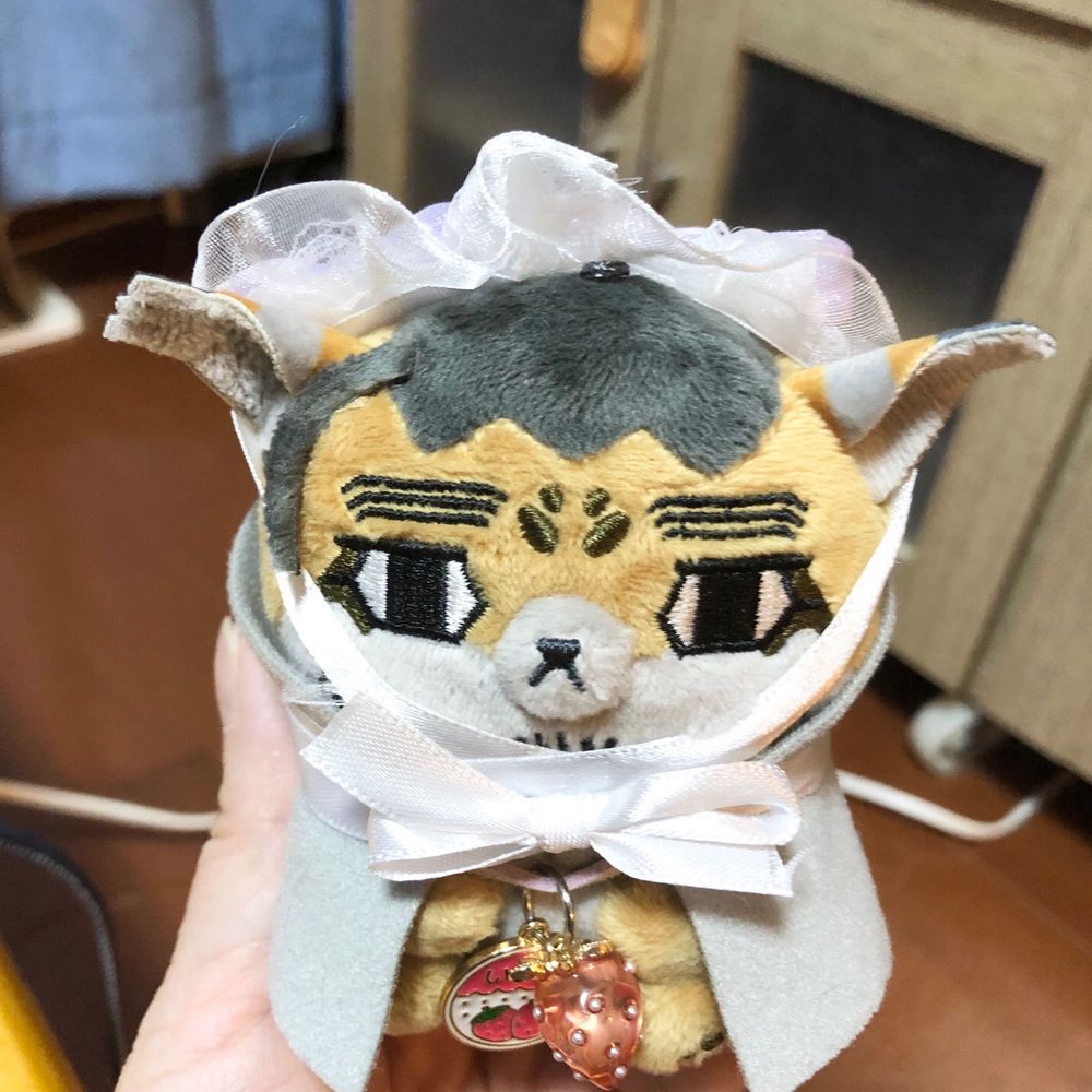 🐈‍⬛ヤンヤン🐈‍⬛