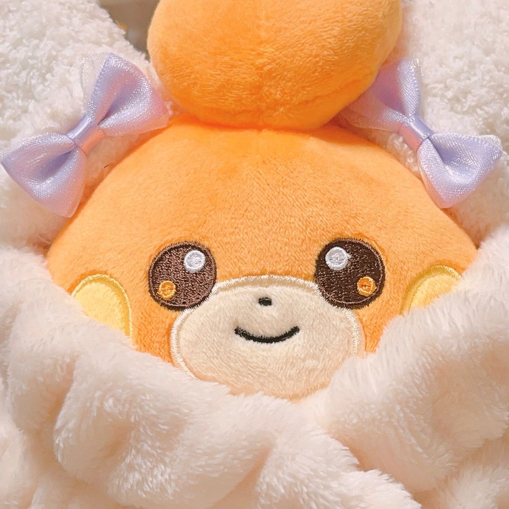 のこ