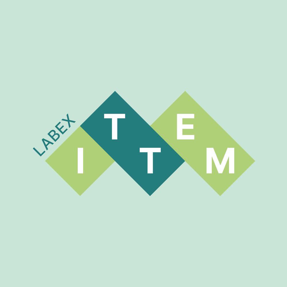 Labex ITTEM