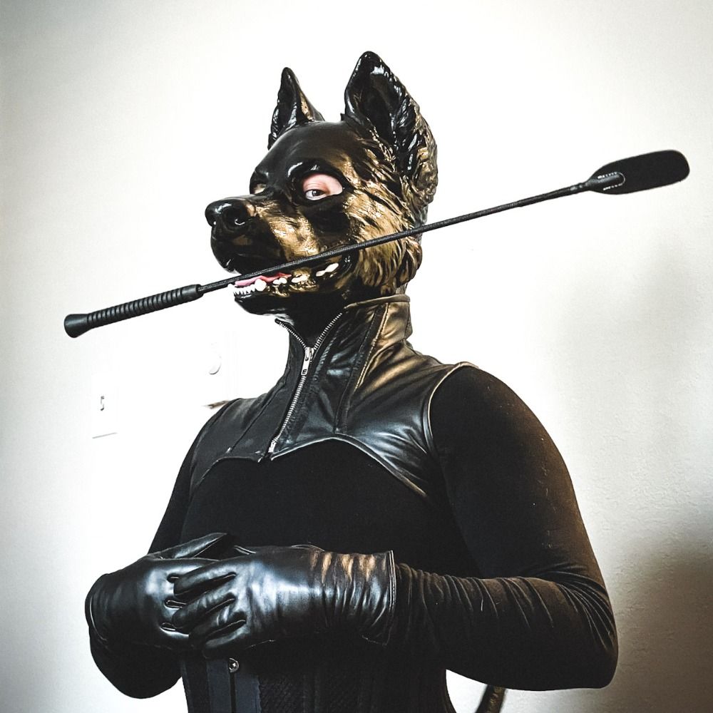 Bo