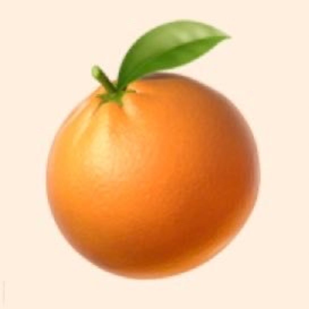감귤