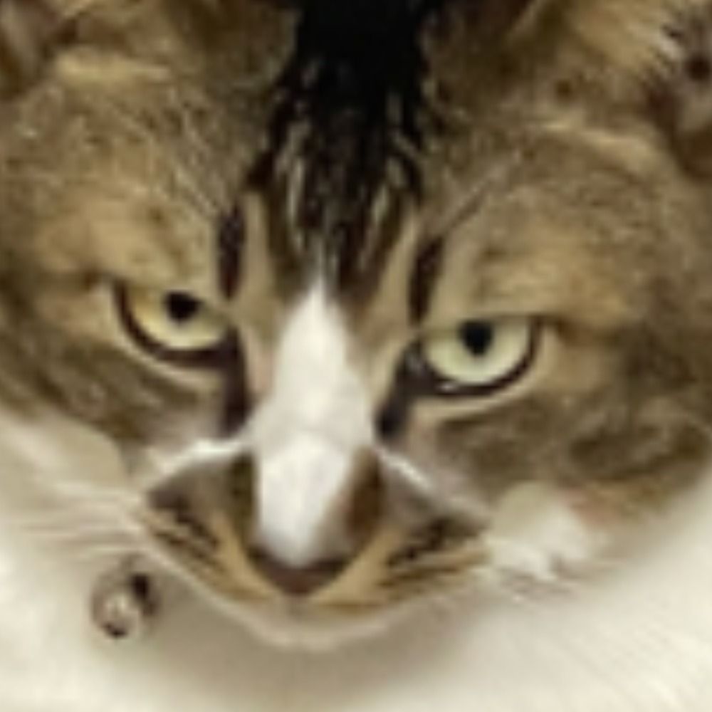 なっつ