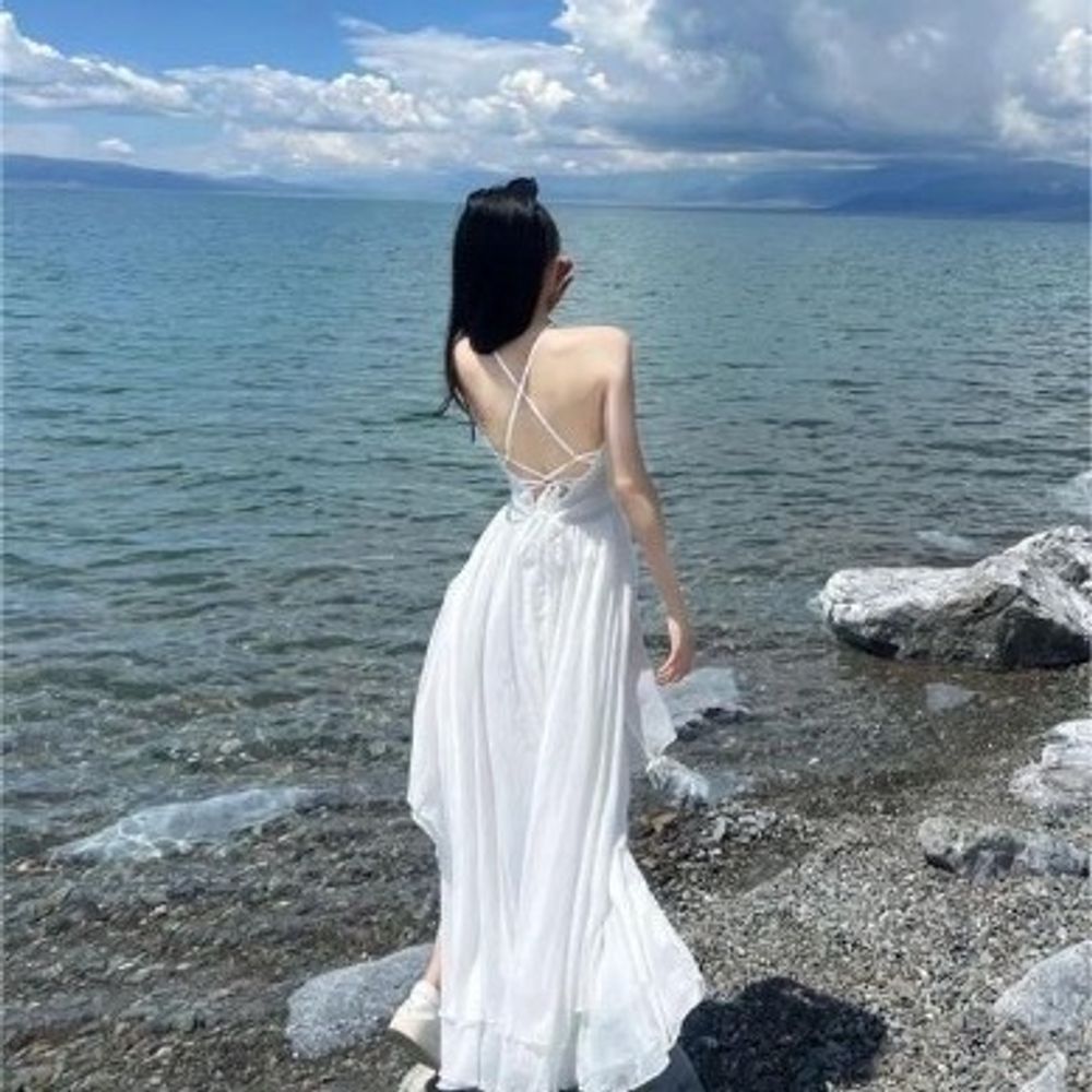 Lin520