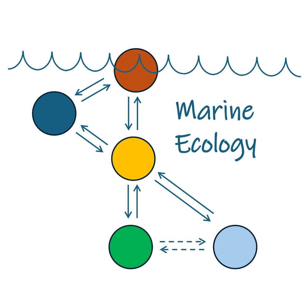 Marine Ecology