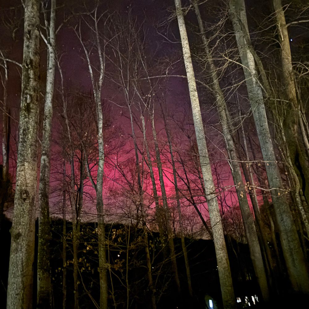 frequentbuyer1.bsky.social