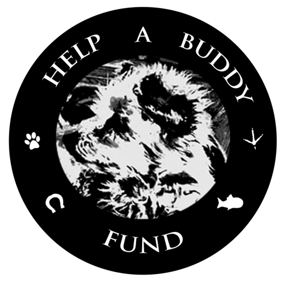 helpabuddyfund