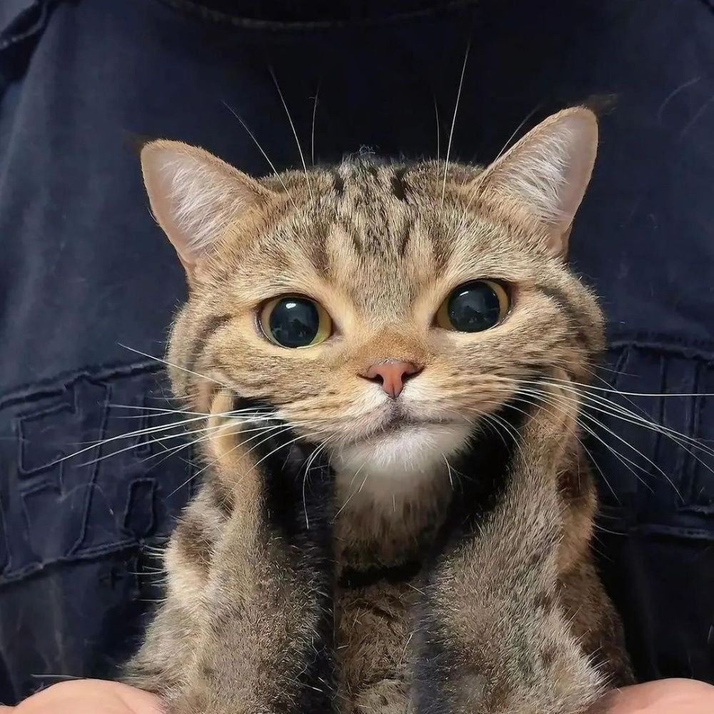 해영