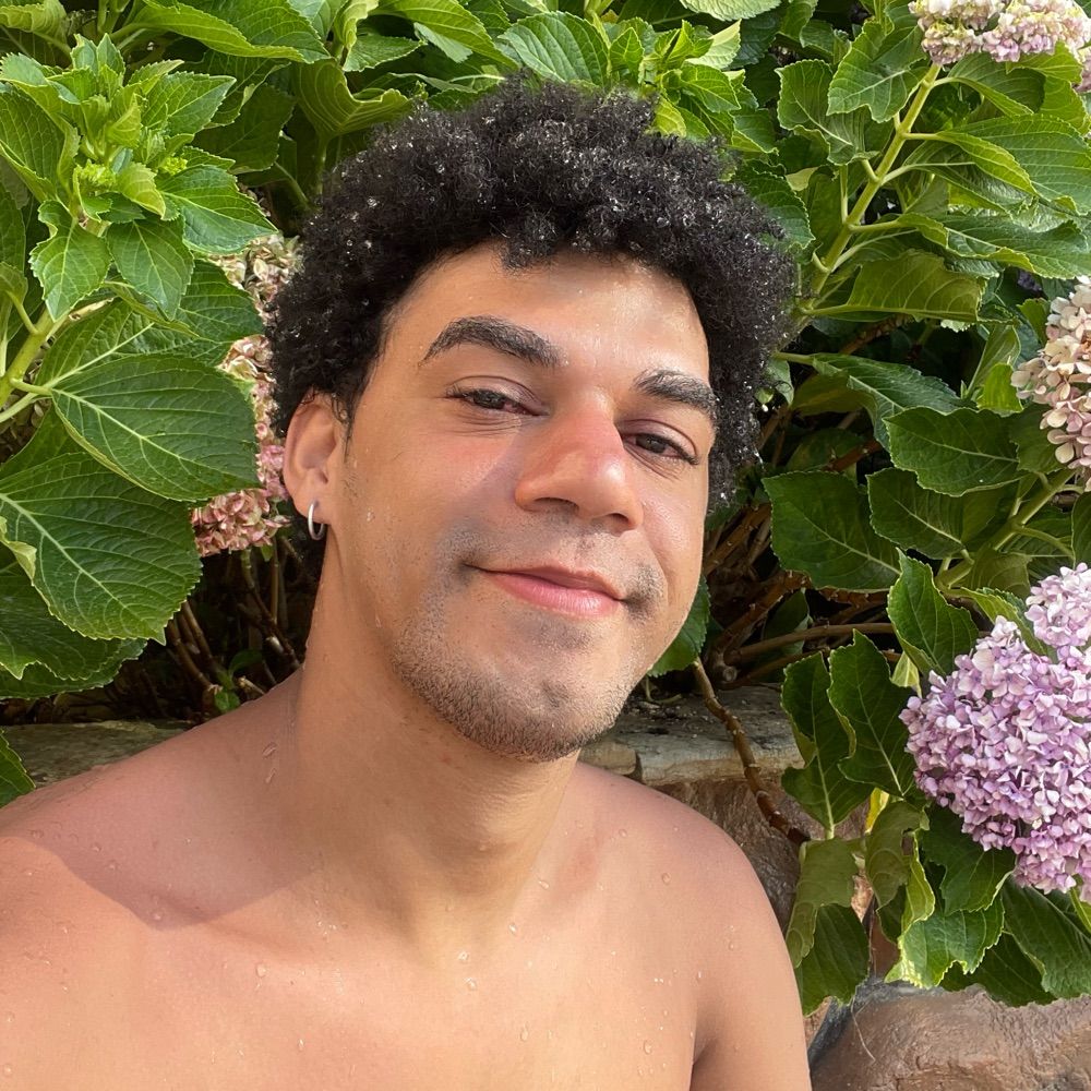 dom homossexwel