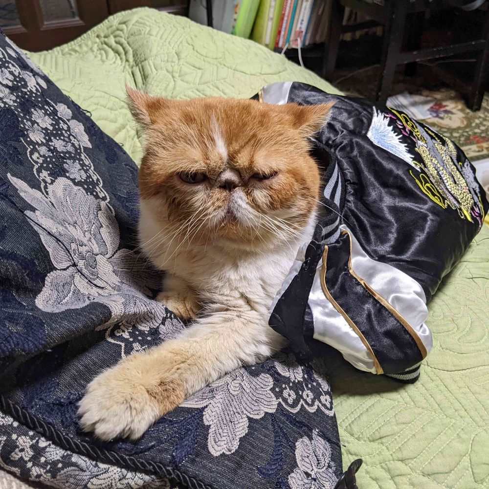 ジュン