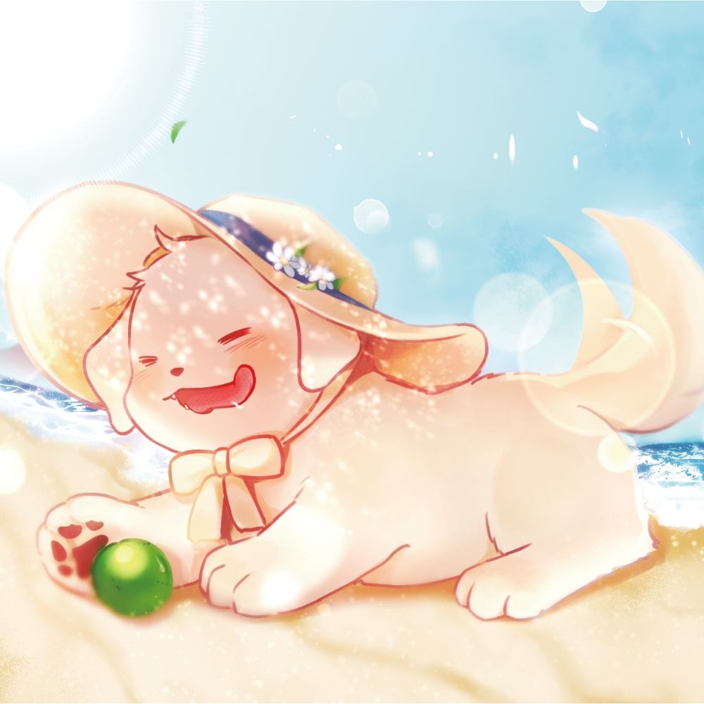 🌼메모르(mĕmor)