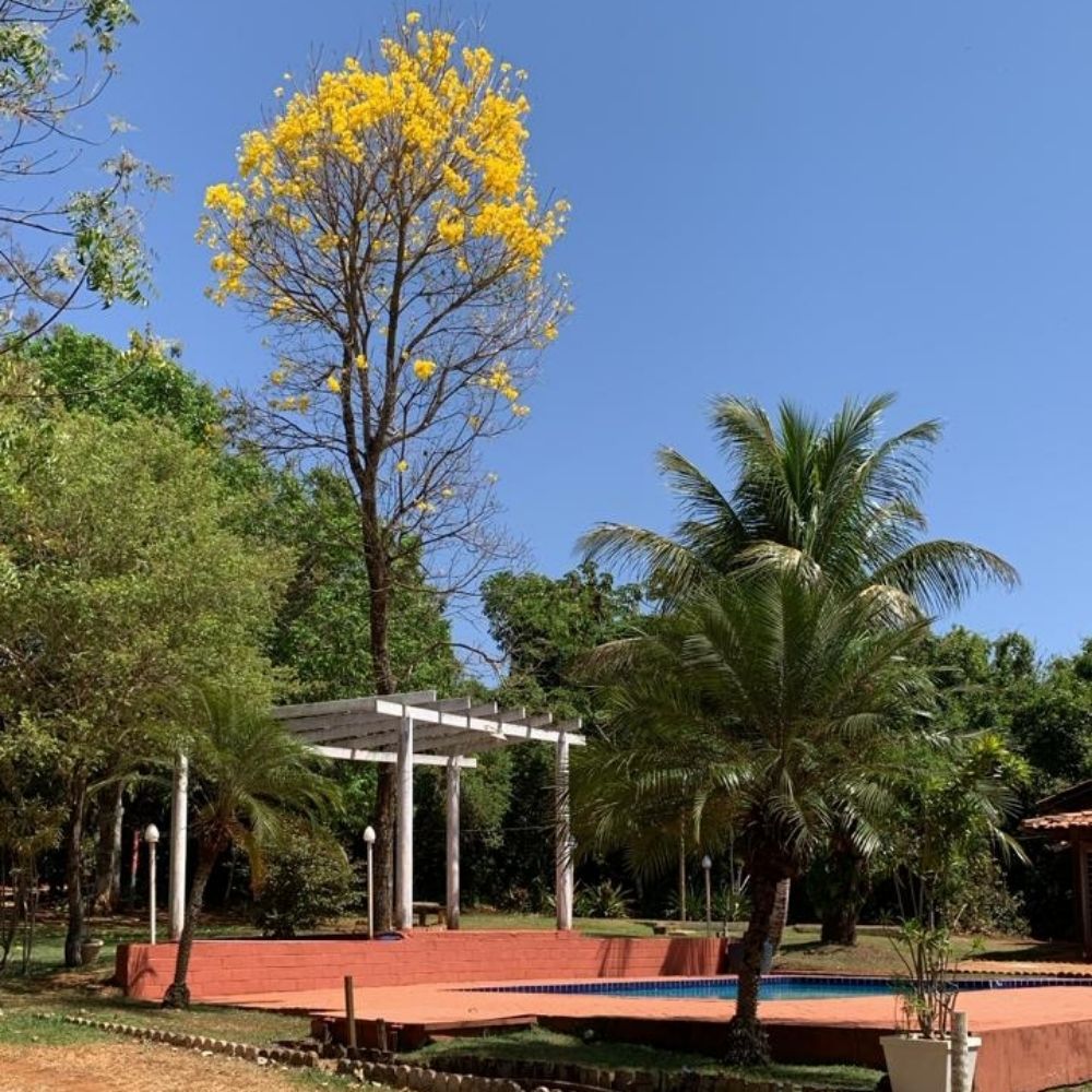 Natgoias - Naturistas Goianos
