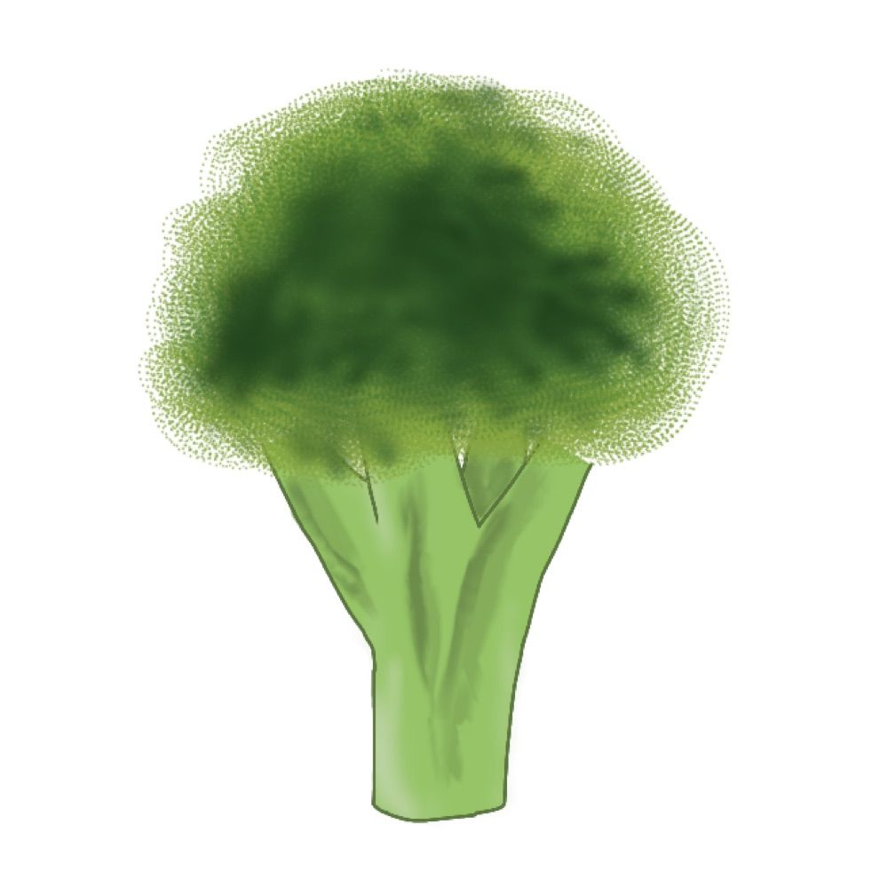 ちぃ坊