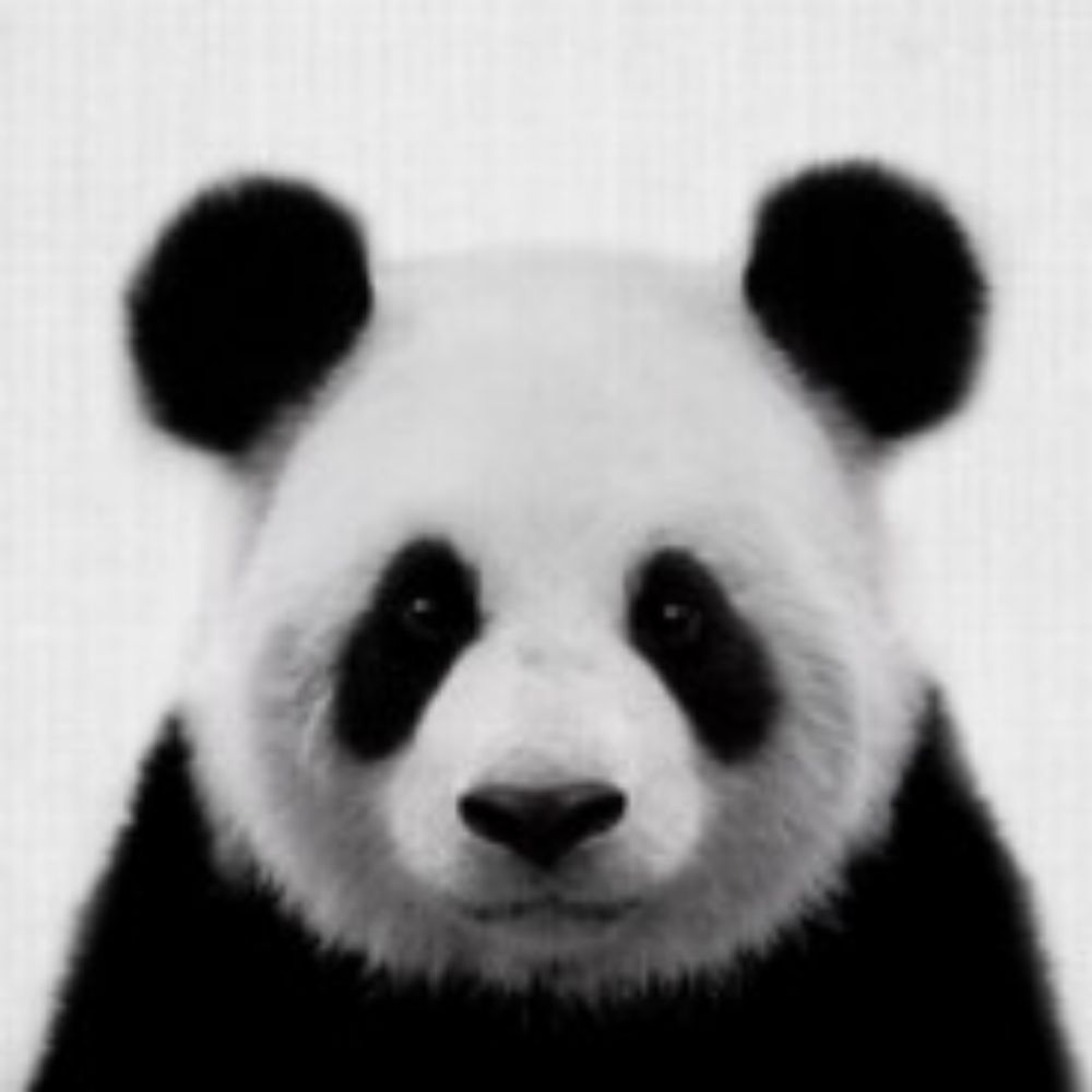 WeirdPanda