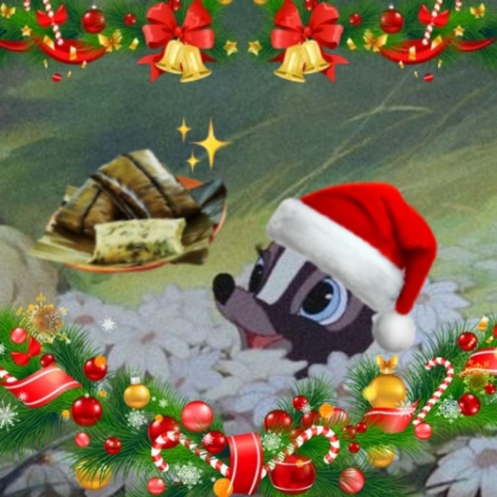˖࣪𖧧Ŧɭ๏г~☃️🦨 | 📆🦋