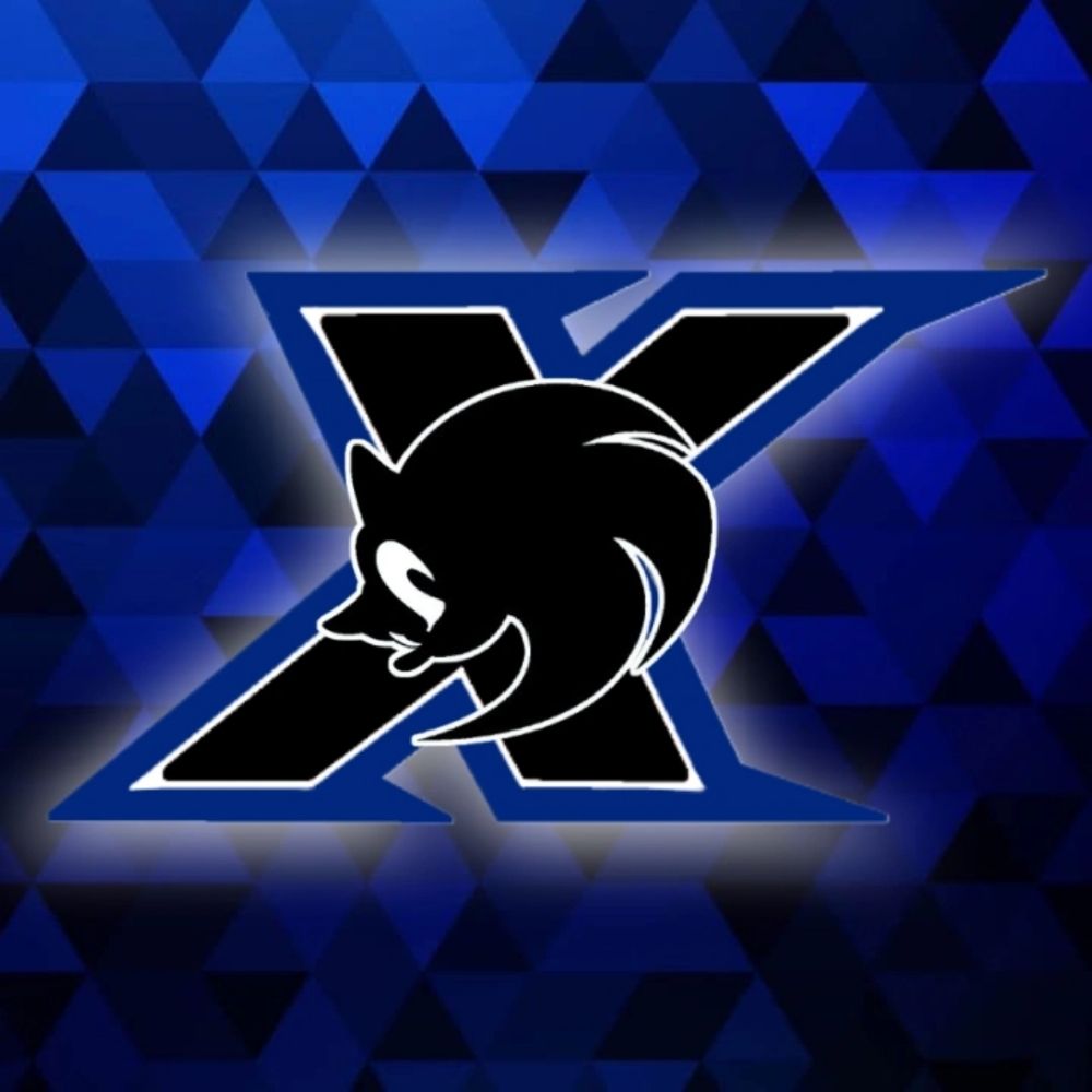 SonicWilliamX