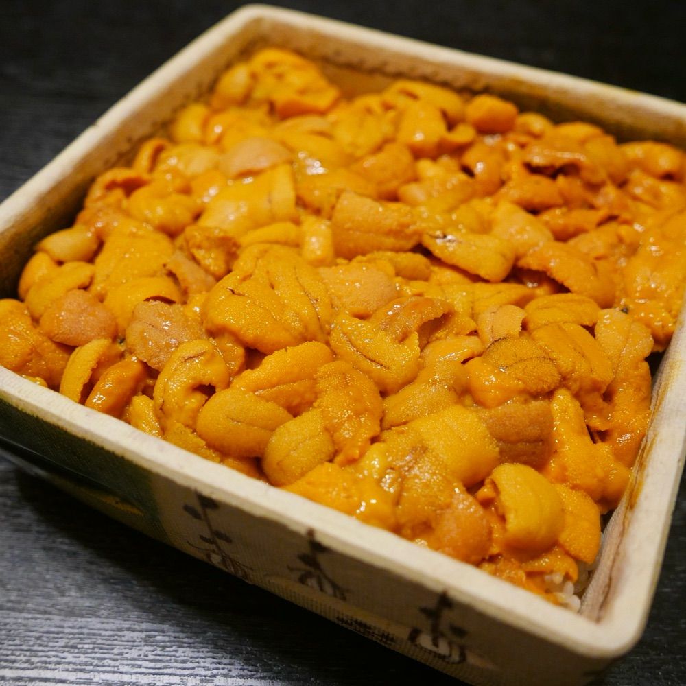 うしろのトトロ