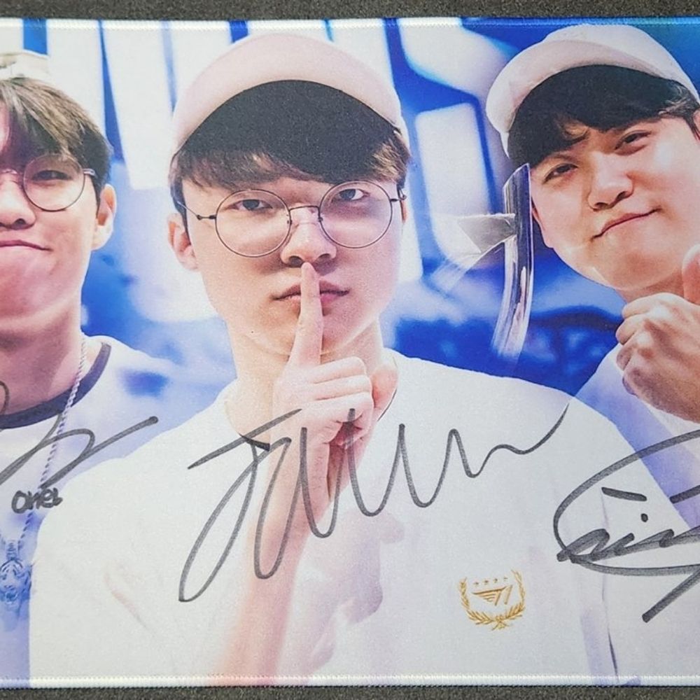 비상하는곰