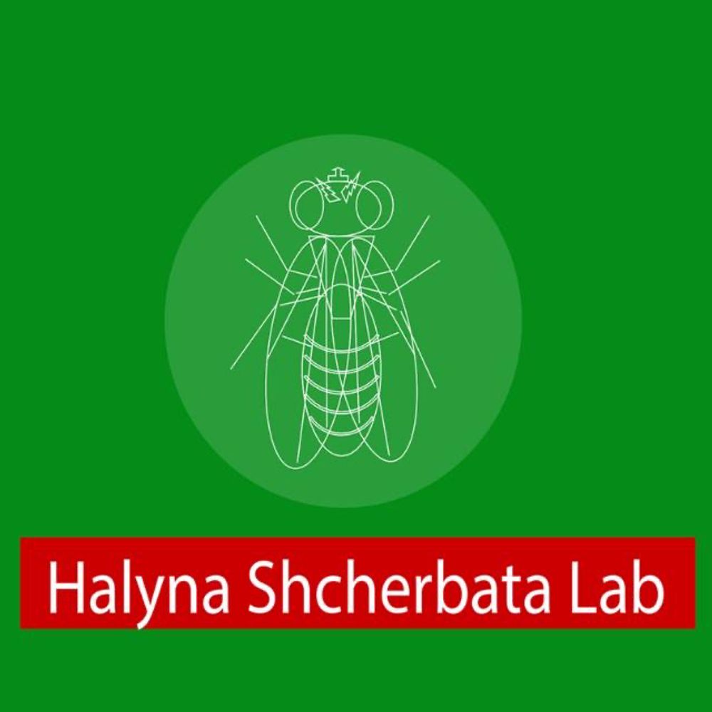 Halyna Shcherbata Lab