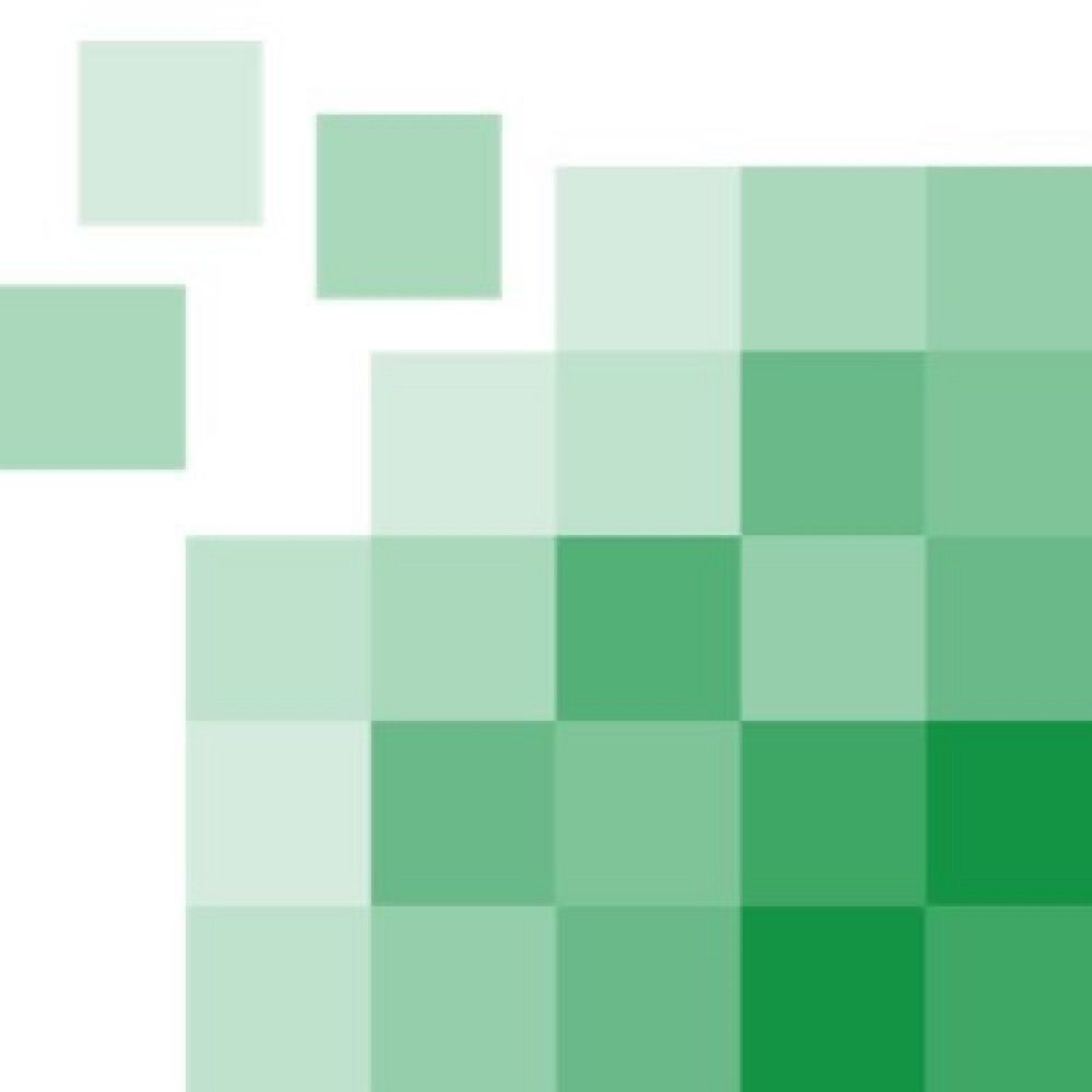 SPP „Das digitale Bild“