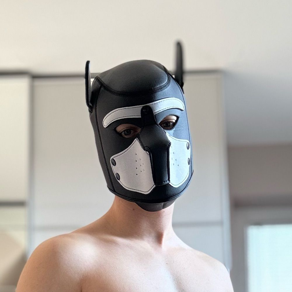 mwolf385