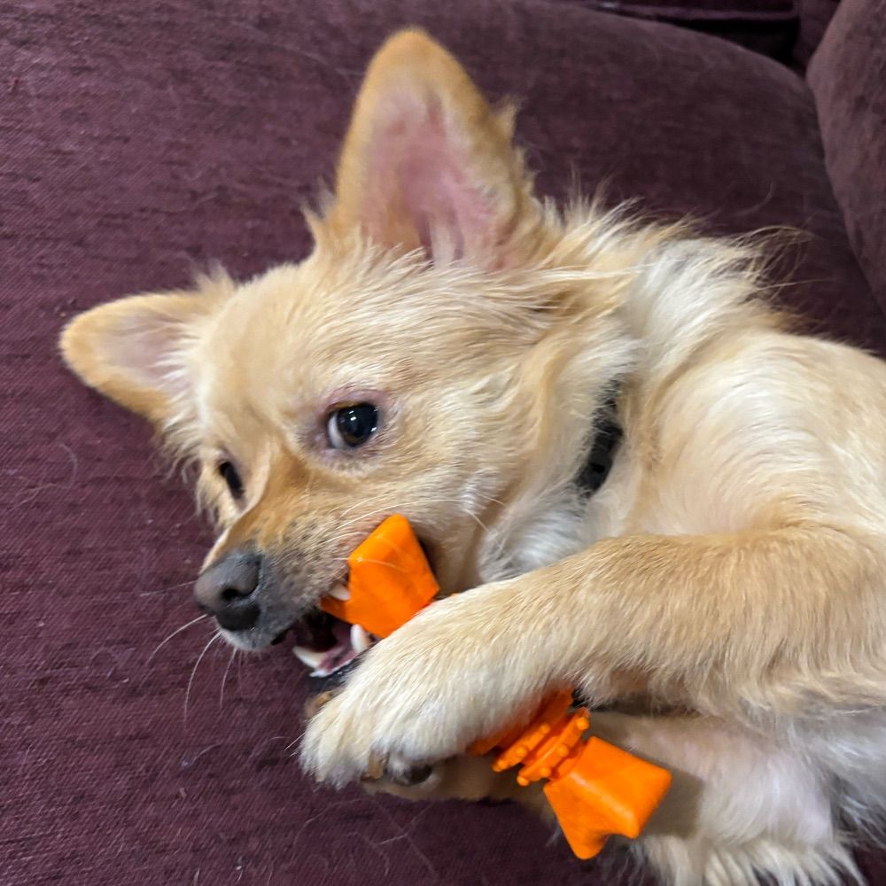Lazlo