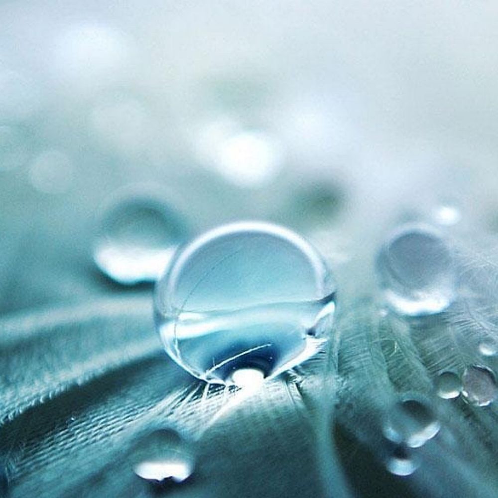 白雨