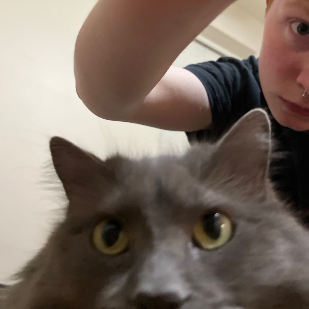 [Nellie Fan Account]
