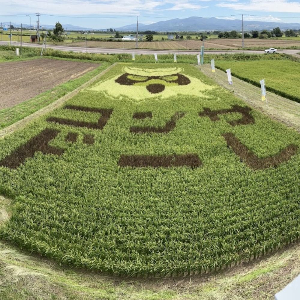 つくし
