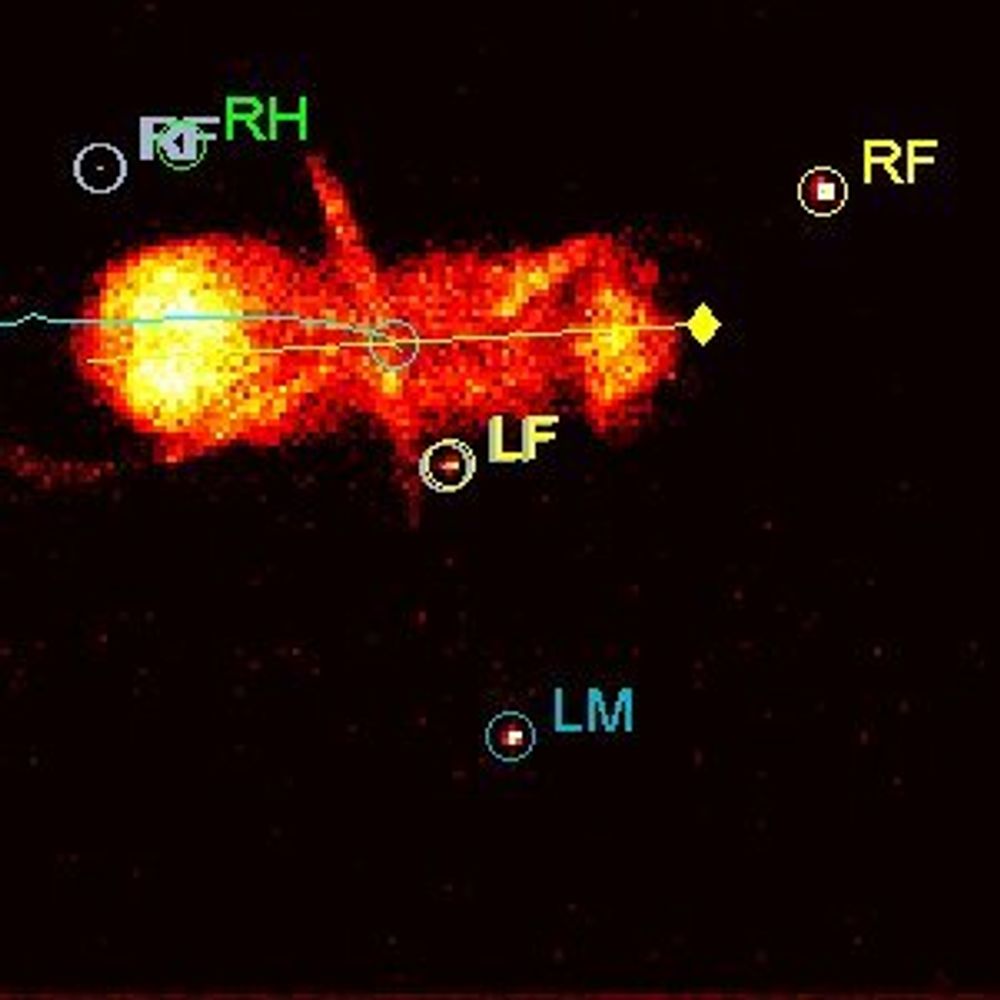 Neurogenetics of Locomotion Lab