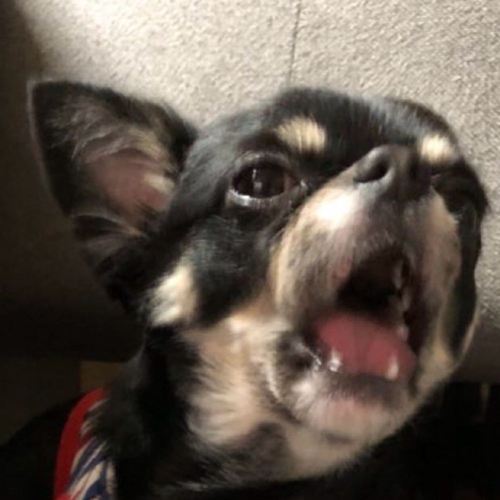 ひとり