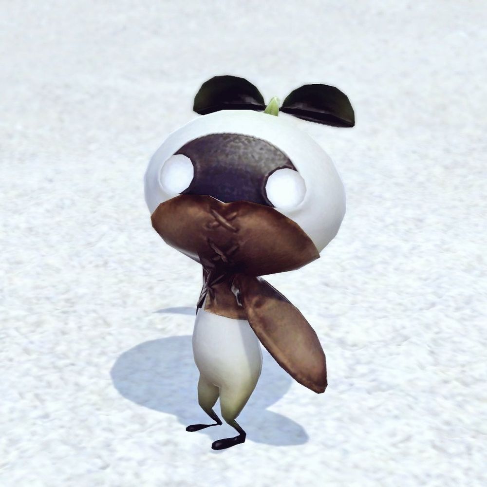 녹차