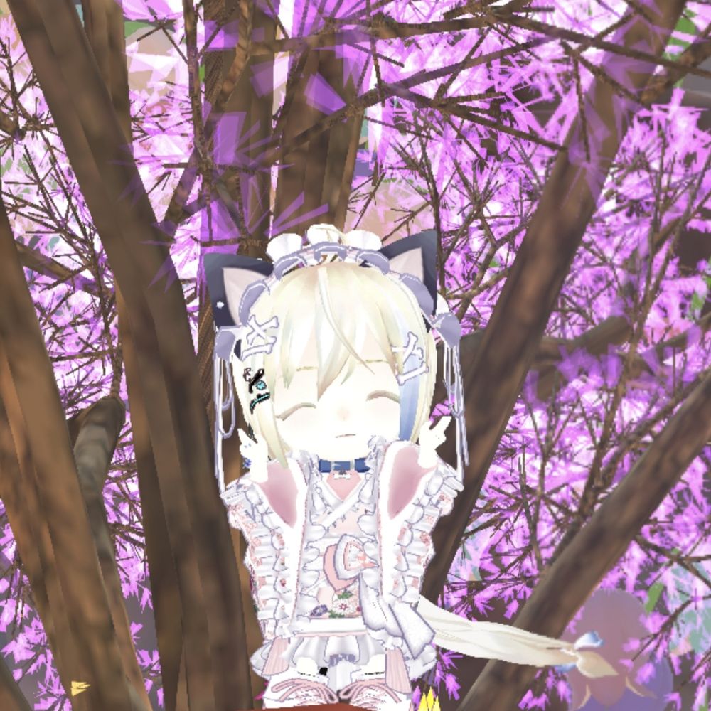 Syou-Vsinger-