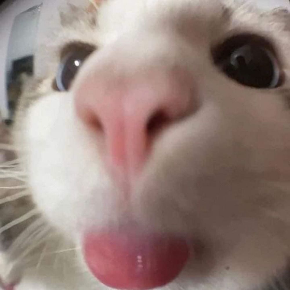 mimi