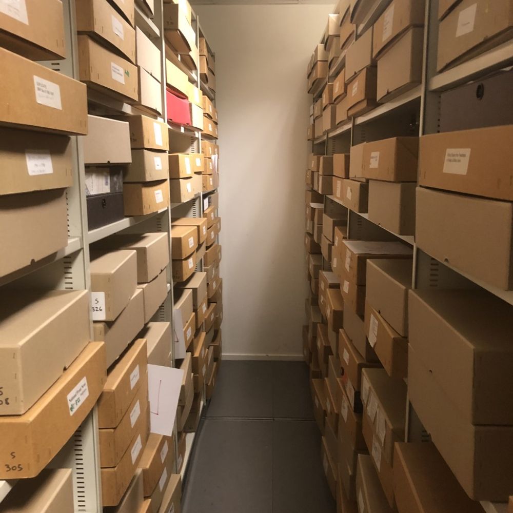 Searchlight Archive