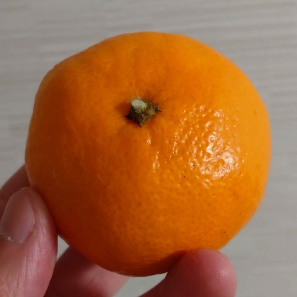 とまとっと