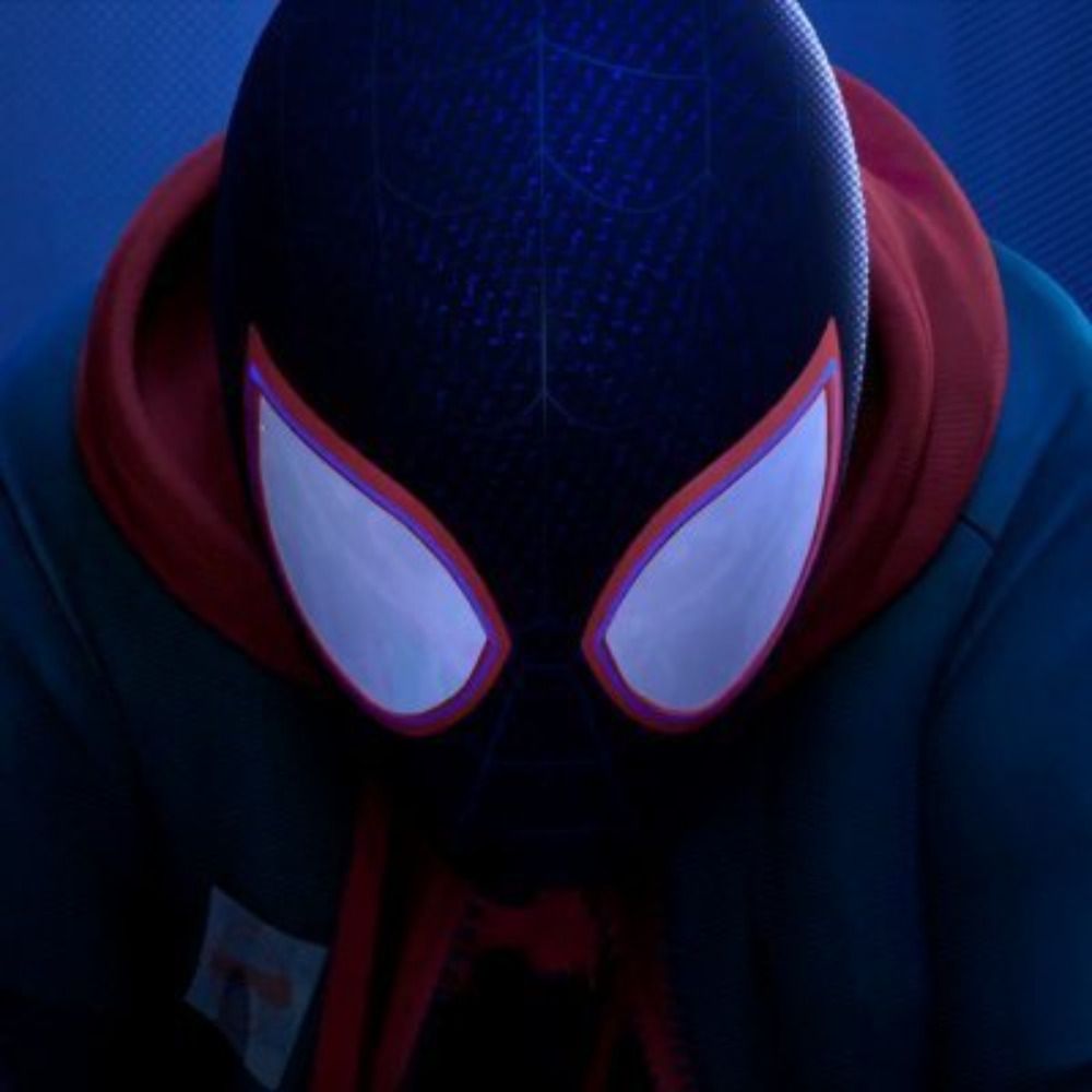 Every Spider-Verse Frame's avatar