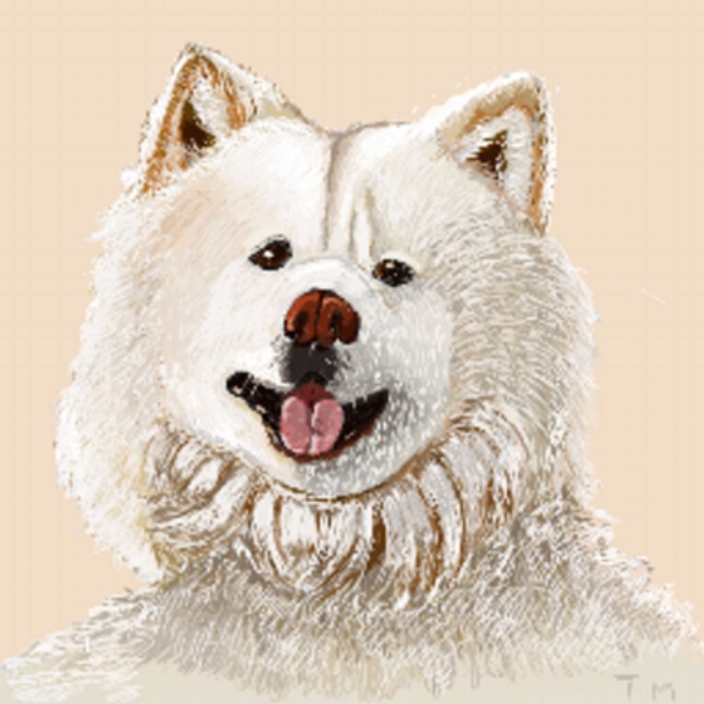 あおさぎ