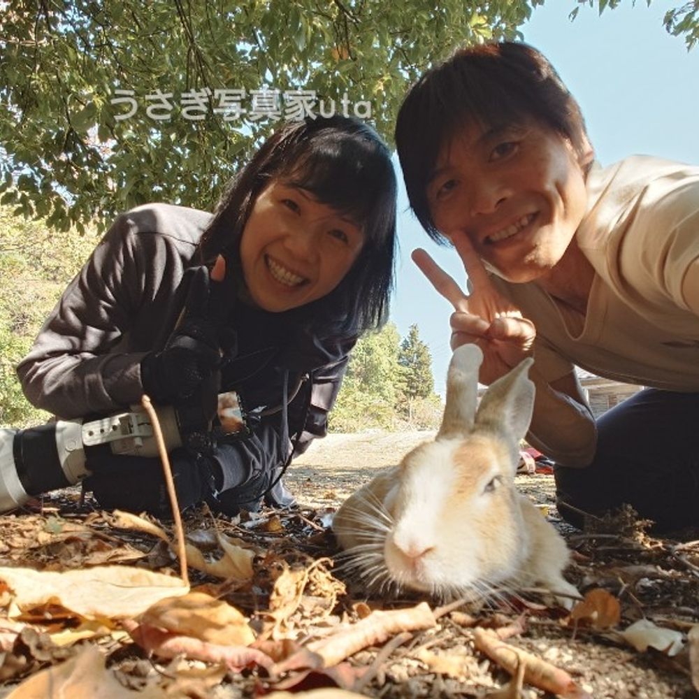 うさぎ写真家uta