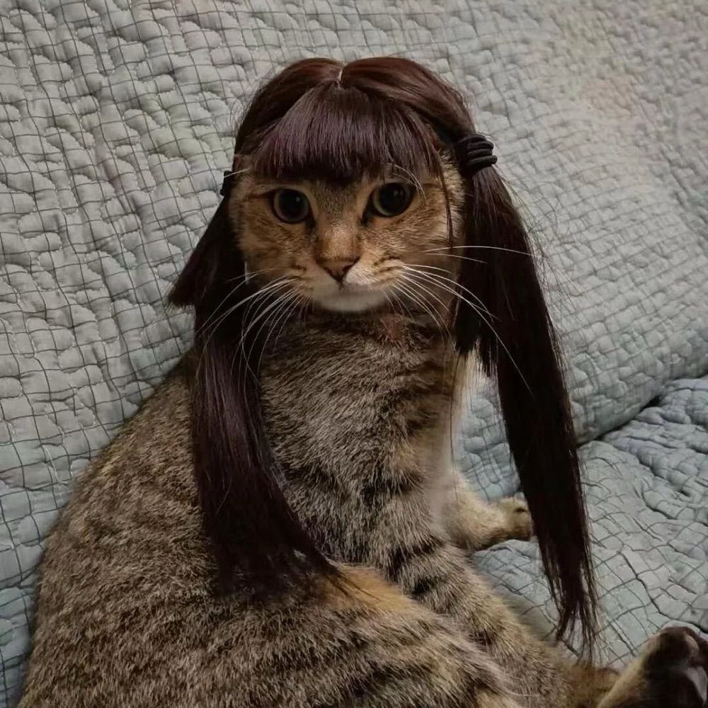 gigi 